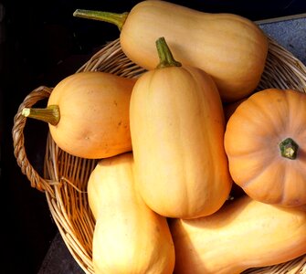 Autumn harvest decoration