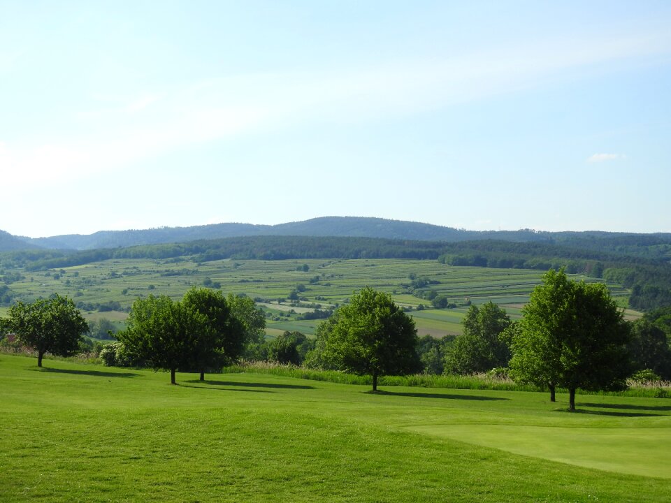 Nature trees landscape