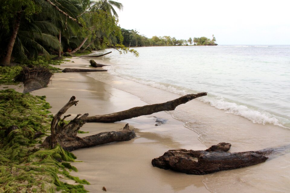 South sea ocean summer