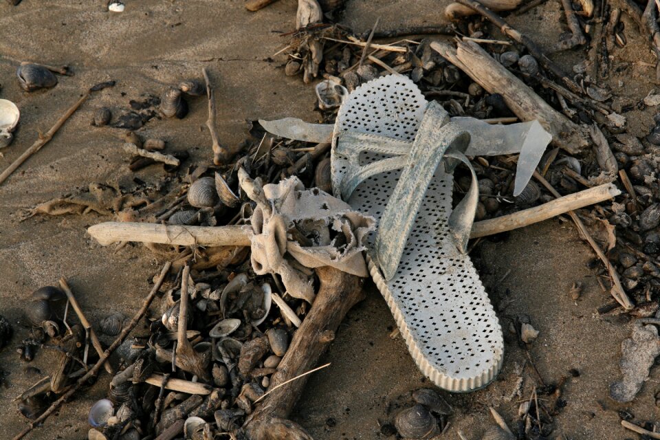 Flotsam garbage pollution