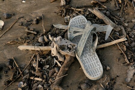 Flotsam garbage pollution