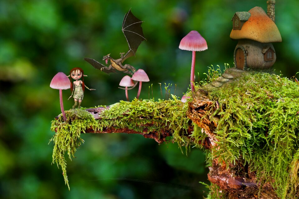Fungi fantasy house