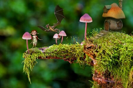 Fungi fantasy house