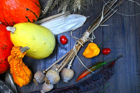 Paradise way pumpkin autumn photo