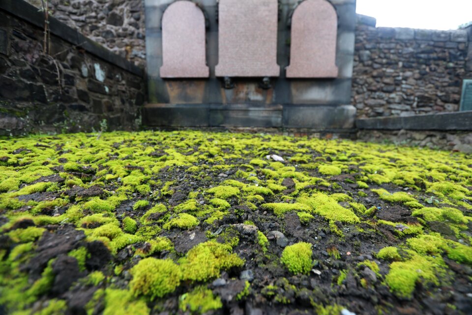 Cemetery old pillars