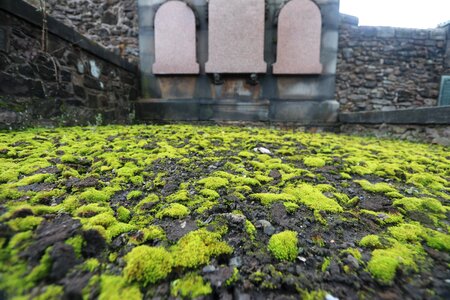Cemetery old pillars