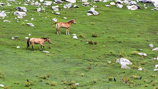 Valley upperdir kpk