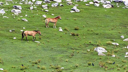 Valley upperdir kpk photo