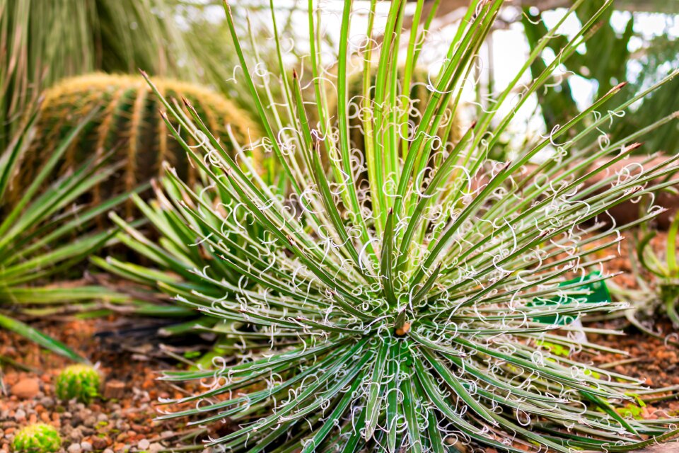 Gardening natural nature