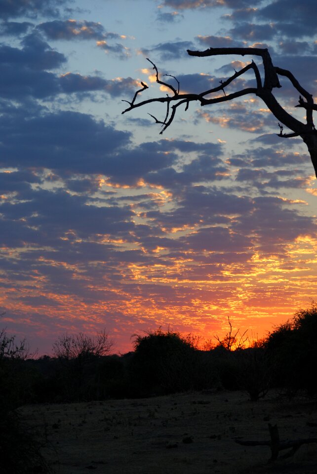 Africa botswana photo