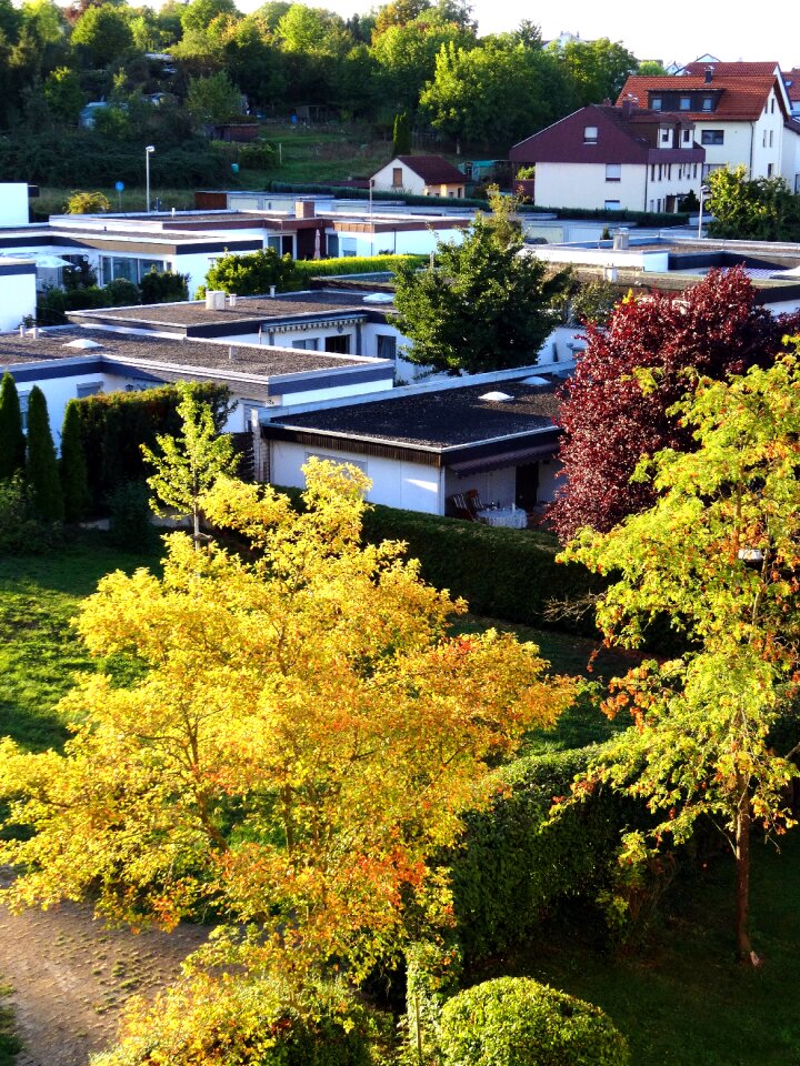 Settlement autumn houses