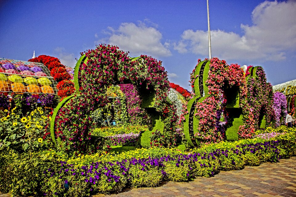 Flower garden flower miracle park flora