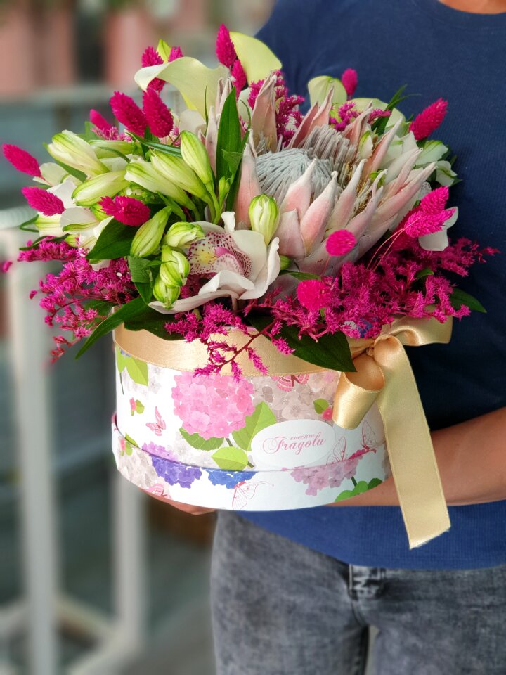 Flowerbox field flower roses