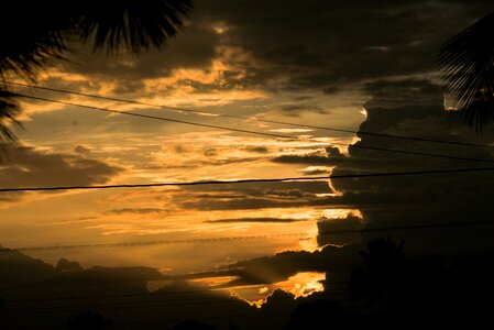 Nature summer sun