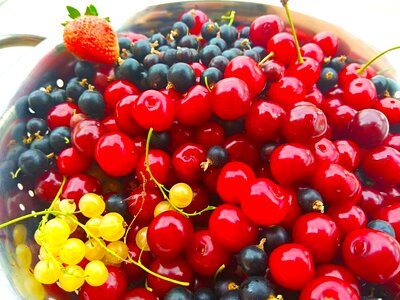 Fruit season summer
