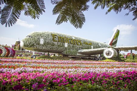 Flower garden flower miracle park flora