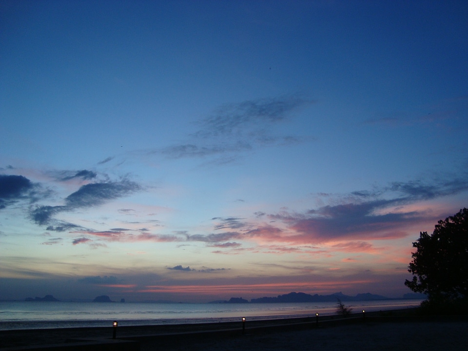 Sun summer landscape