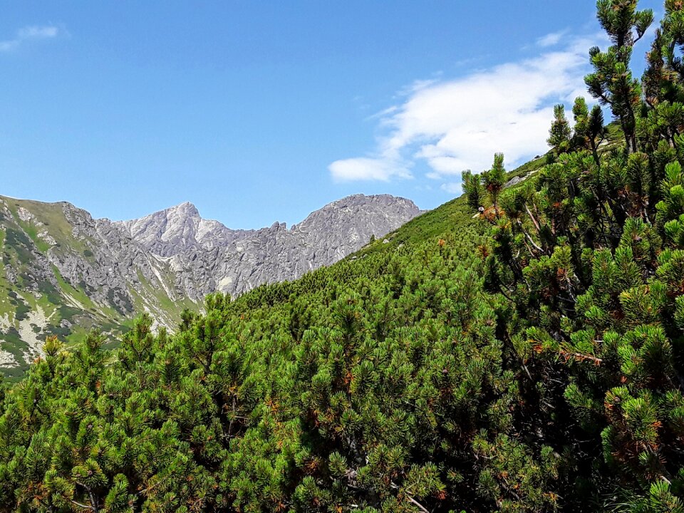 Slovakia nature mountains