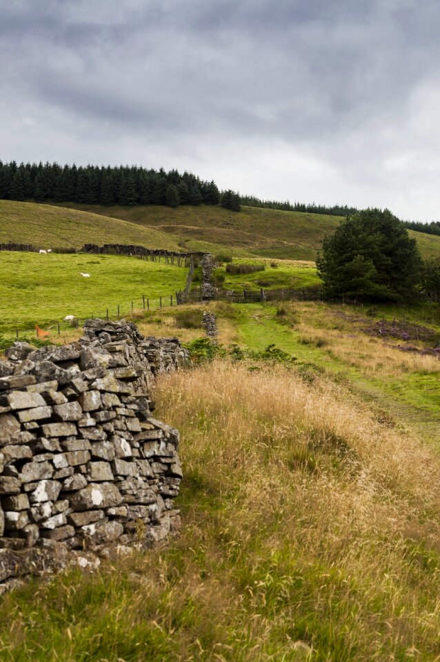 Green outdoors dry stone wall