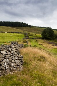 Green outdoors dry stone wall photo