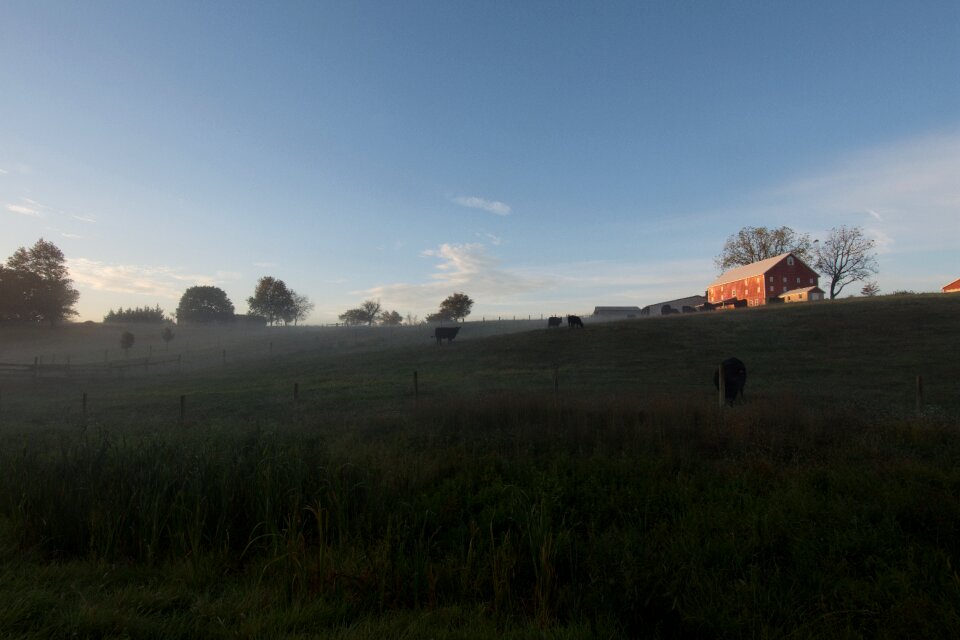 Barn pasture animal
