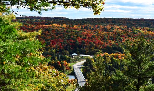 Canada scenery al gang kun autumn