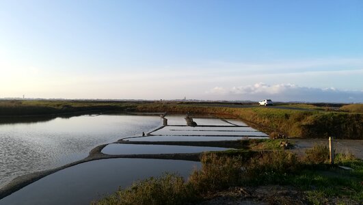 Saline nature batz-sur-mer photo