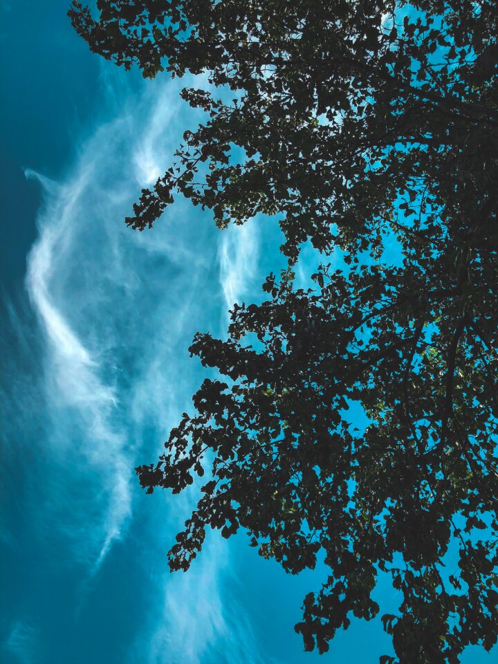 Weather summer atmosphere