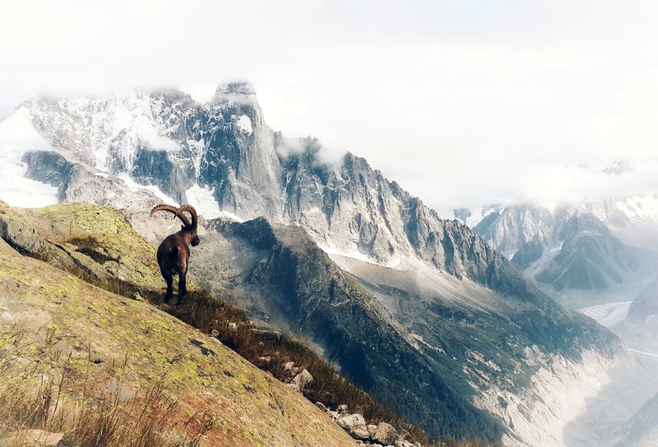 Mountains sky panorama