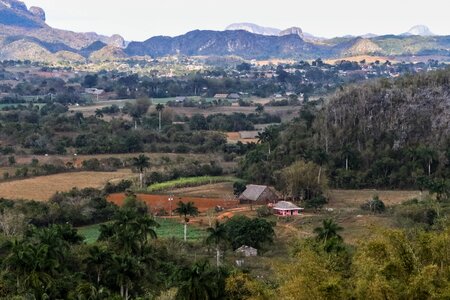 Nature landscape birding