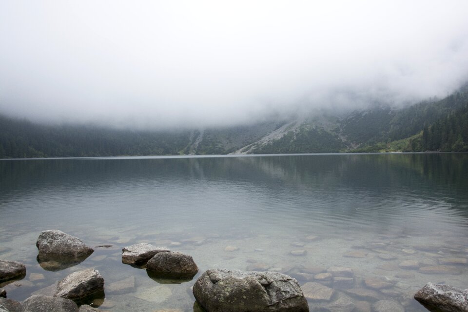 The fog poland nature