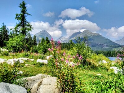 Nature vysoké tatry summer