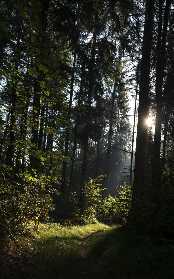 Mood atmosphere landscape