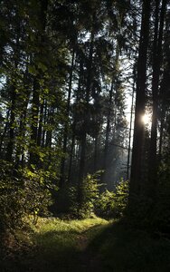 Mood atmosphere landscape