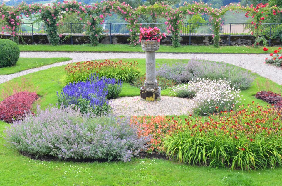 Source garden flower