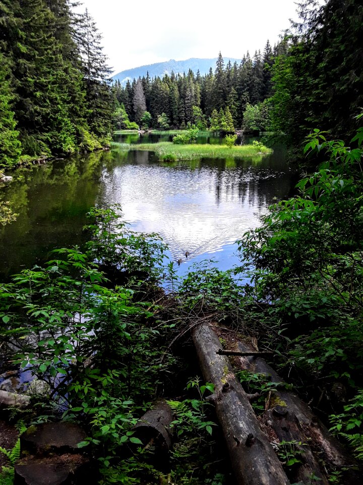 Vrbické pleso low tatras demänovská dolina