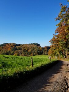 H nature training