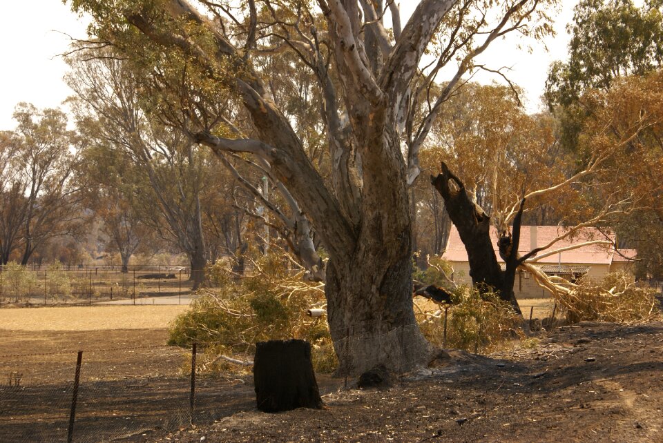 Australia landscape