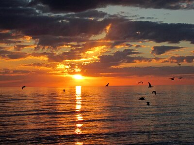 Florida beach sky photo