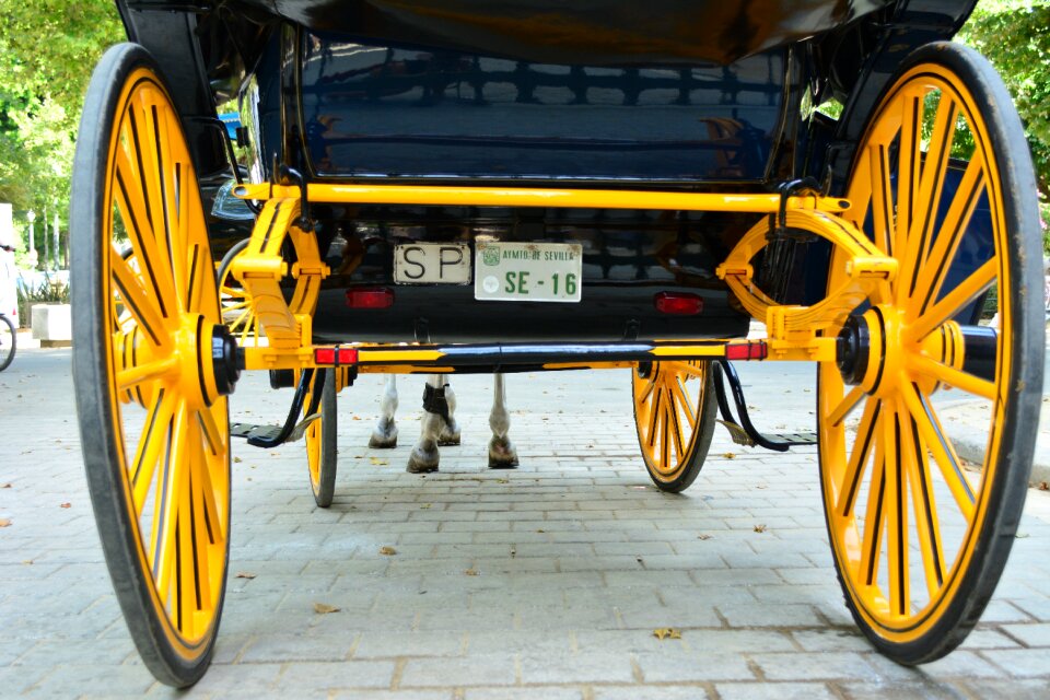 Horse iron travel
