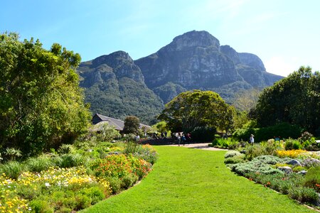 Park kirstenbosch photo