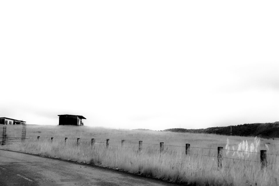 Agriculture farm rural