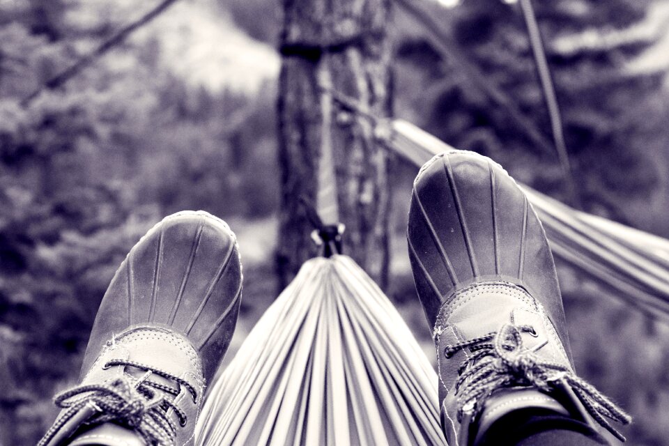 Forest nature travel