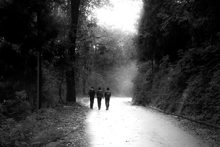 Walking gray walking