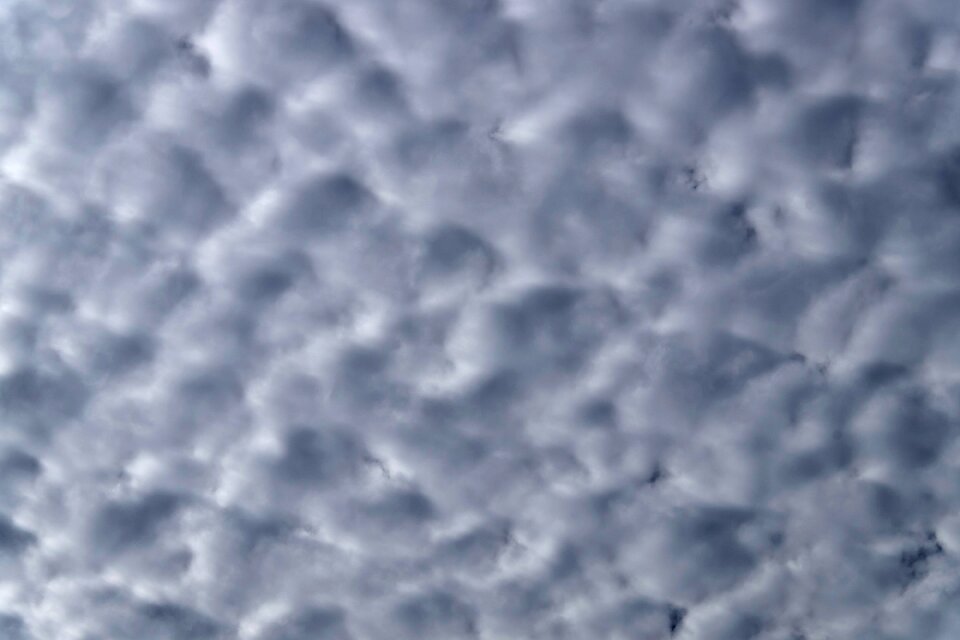 Fluffy cirrocumulus delicate