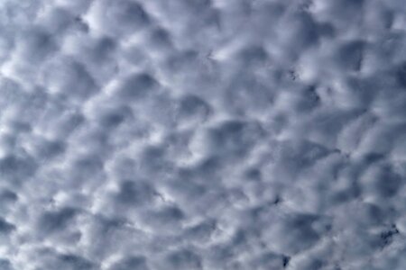Fluffy cirrocumulus delicate
