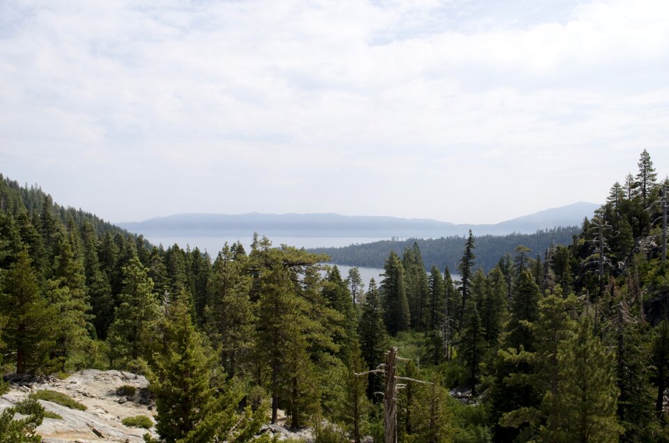 Outdoor trees mountain