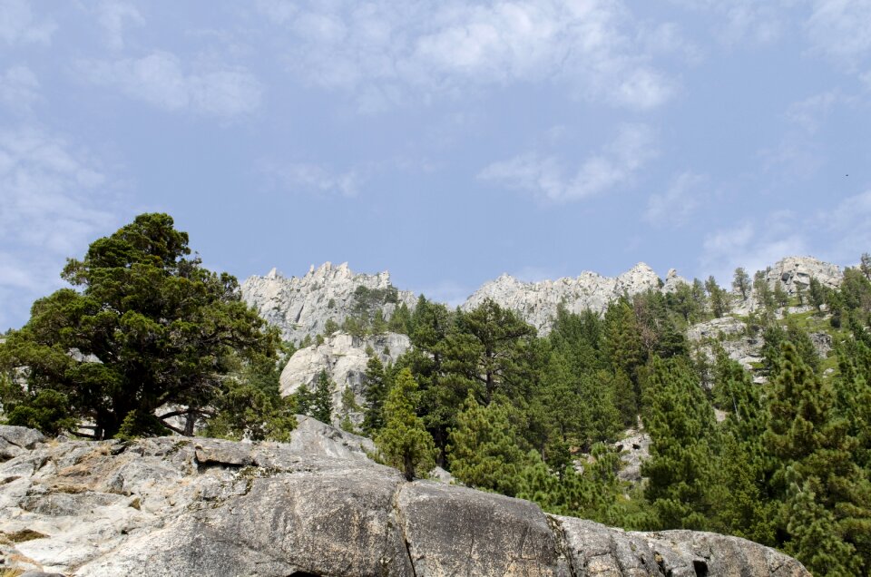 Outdoor trees mountain