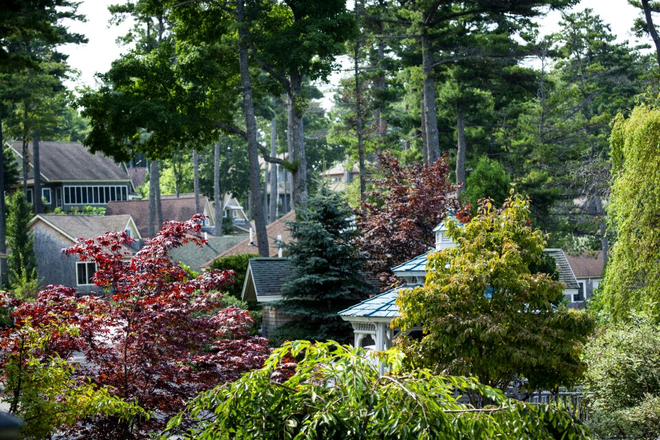 New england scenic landscape