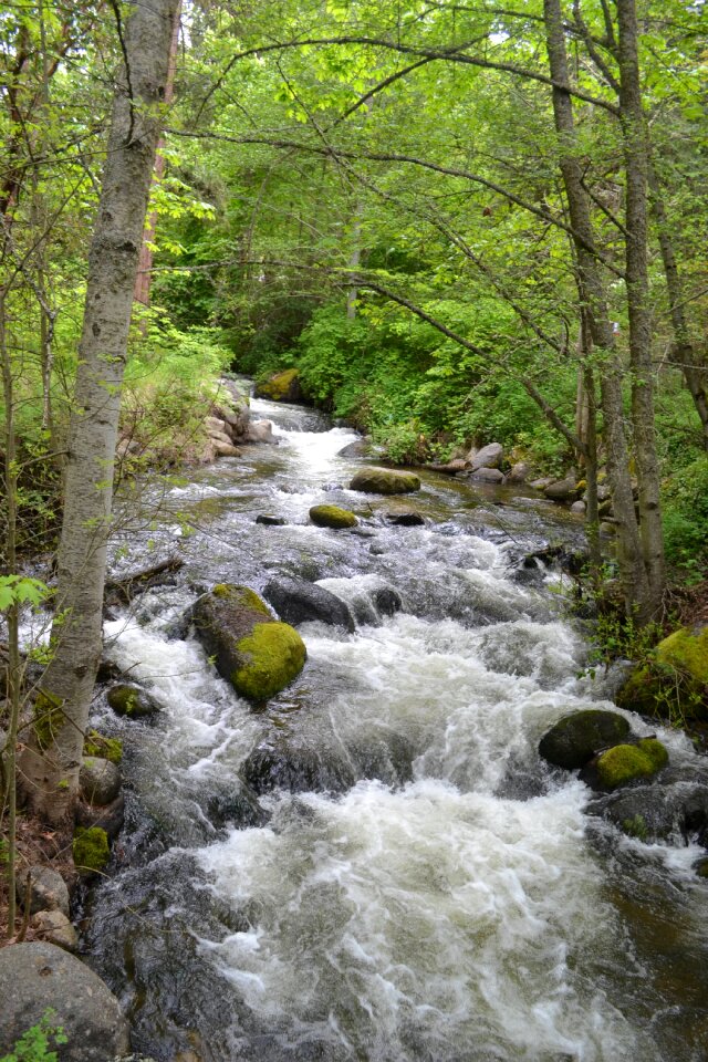 River outdoors nature photo